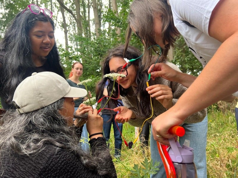 Workshop gathering in a woodland, participants connecting wires to wildflowers