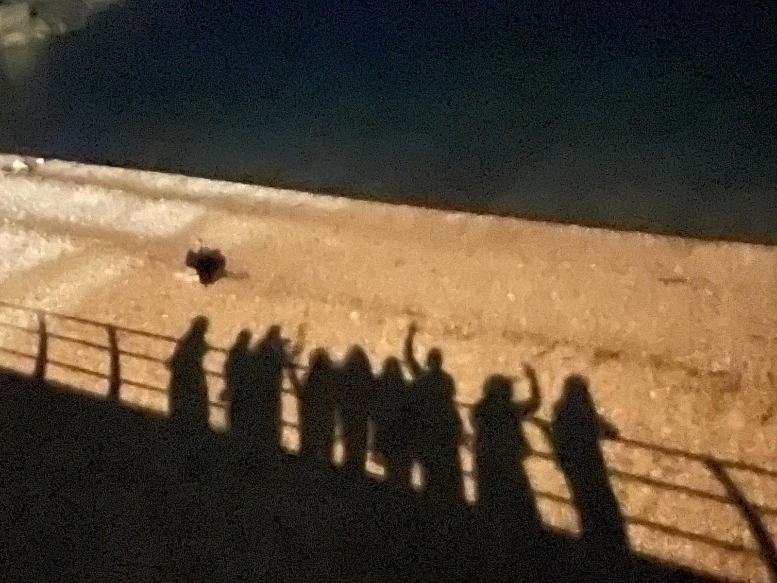 Long evening shadows of the collective cast on a seaside promenade